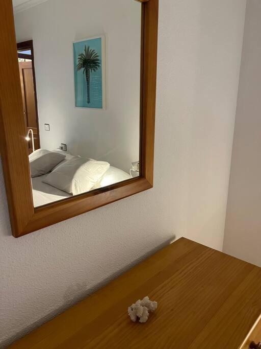 Cozy Apartment Santa Cruz de Tenerife Exterior photo